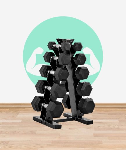 Barbell Dumbbell Set with Rack