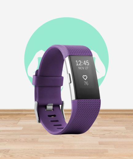 Heart Rate and Fitness Coach